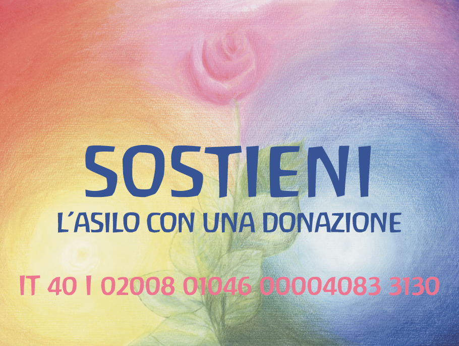 Sostieni l'Asilo con una donazione